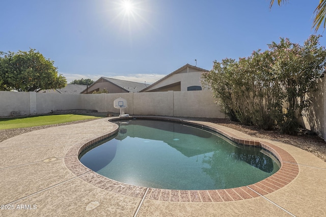 view of swimming pool featuring a patio, a fenced backyard, and a fenced in pool