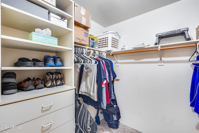 view of spacious closet