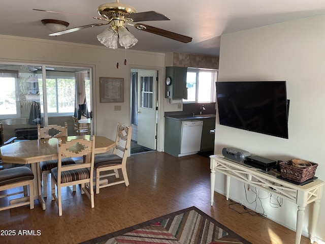 dining space featuring dark hardwood / wood-style flooring, sink, and ceiling fan