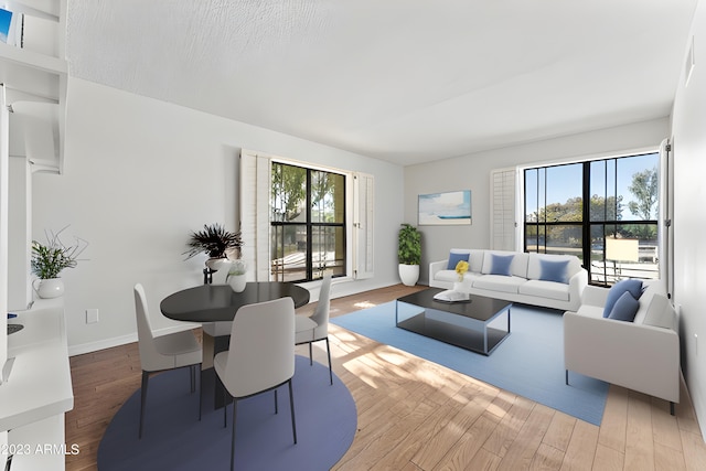 living room featuring wood finished floors, a wealth of natural light, and baseboards