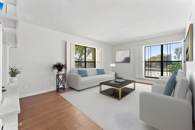 living room with wood-type flooring and baseboards