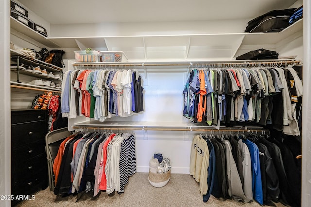 walk in closet featuring carpet flooring