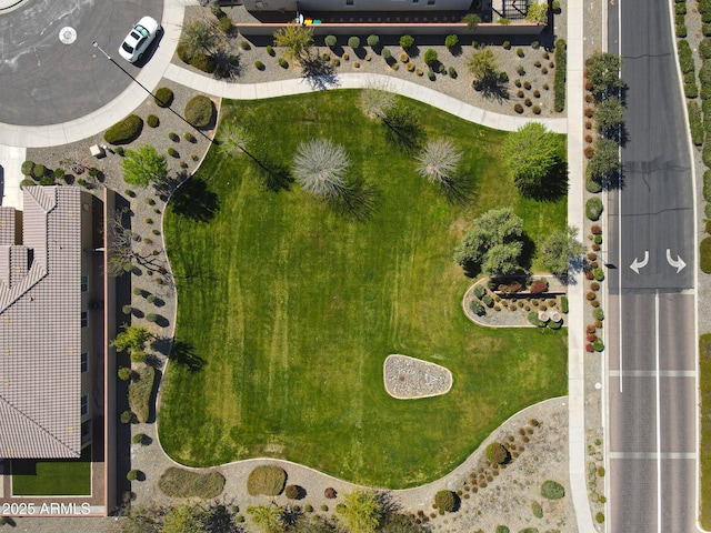 aerial view