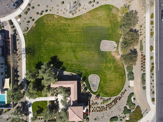 bird's eye view