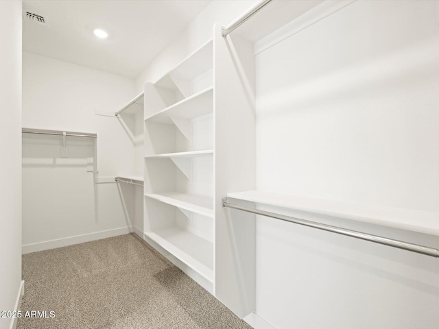 walk in closet featuring carpet floors