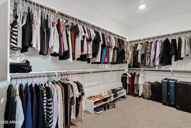 1800 S Jesse Pl, Chandler, AZ 85286 - spacious closet with carpet floors