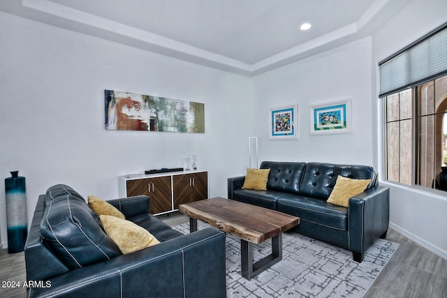 living room featuring light hardwood / wood-style flooring and a raised ceiling