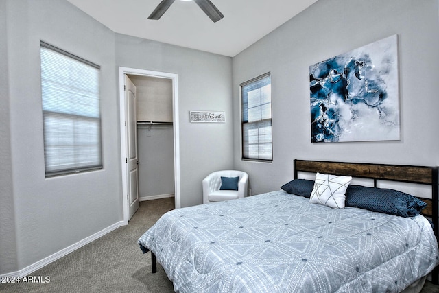 carpeted bedroom featuring a closet, ceiling fan, and a walk in closet