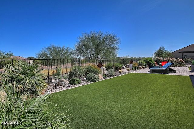 view of yard with a patio