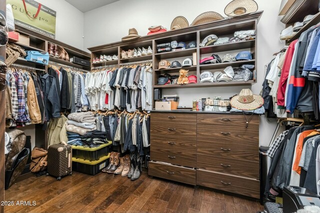 walk in closet with dark hardwood / wood-style floors