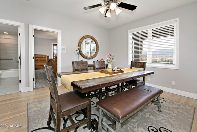 dining room with light hardwood / wood-style flooring and ceiling fan