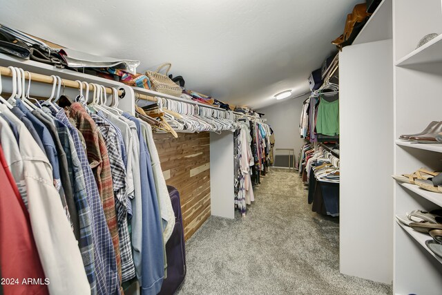 spacious closet with light colored carpet