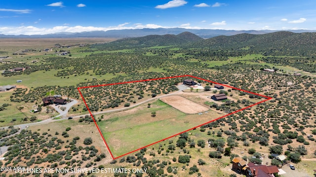 birds eye view of property featuring a mountain view