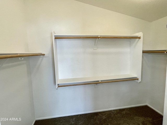 spacious closet with carpet flooring and vaulted ceiling