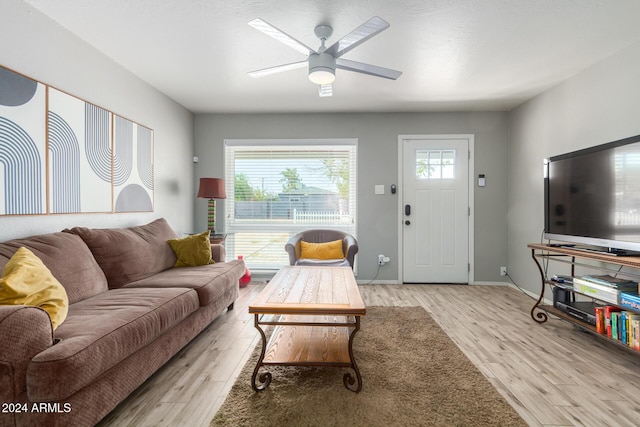 living room featuring ceiling fan and light hardwood / wood-style flooring