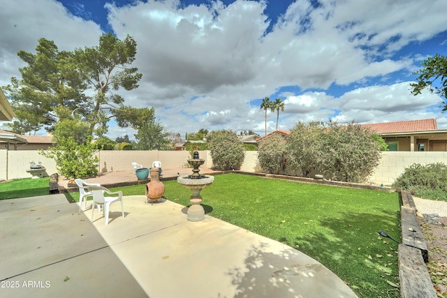 view of yard featuring a fenced backyard and a patio