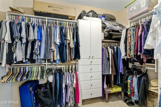 walk in closet featuring carpet