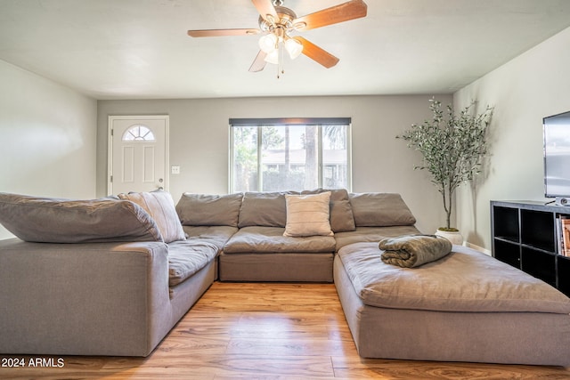 living room with light wood-type flooring and ceiling fan