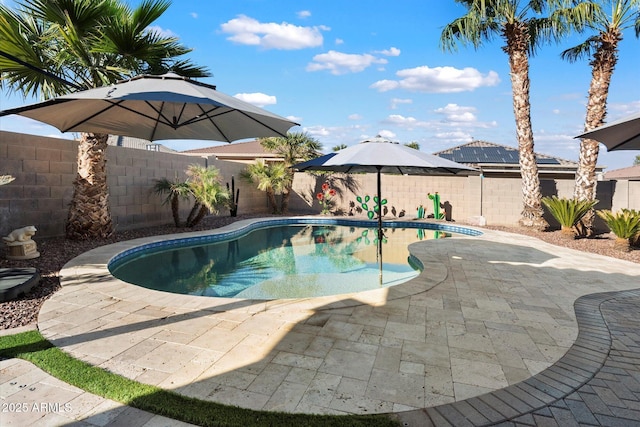 view of swimming pool featuring a patio