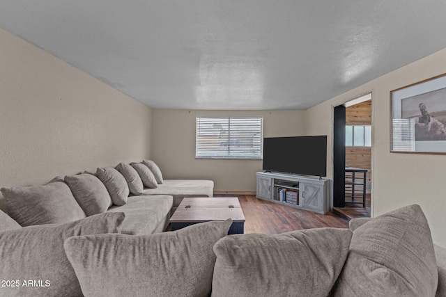 living area featuring wood finished floors