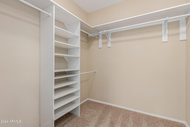 spacious closet with carpet flooring