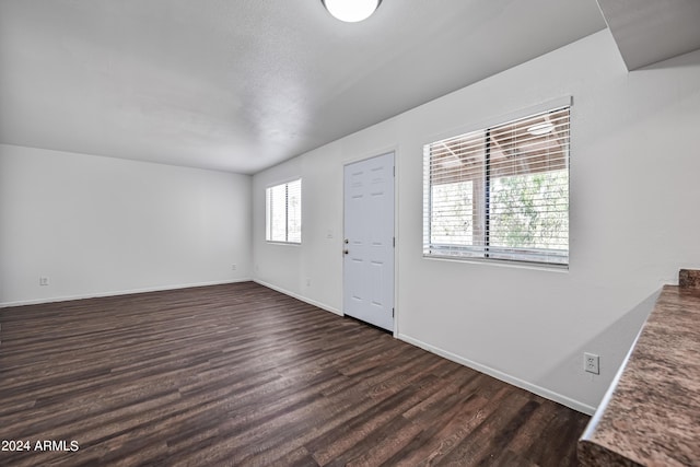 foyer with baseboards and dark wood-type flooring