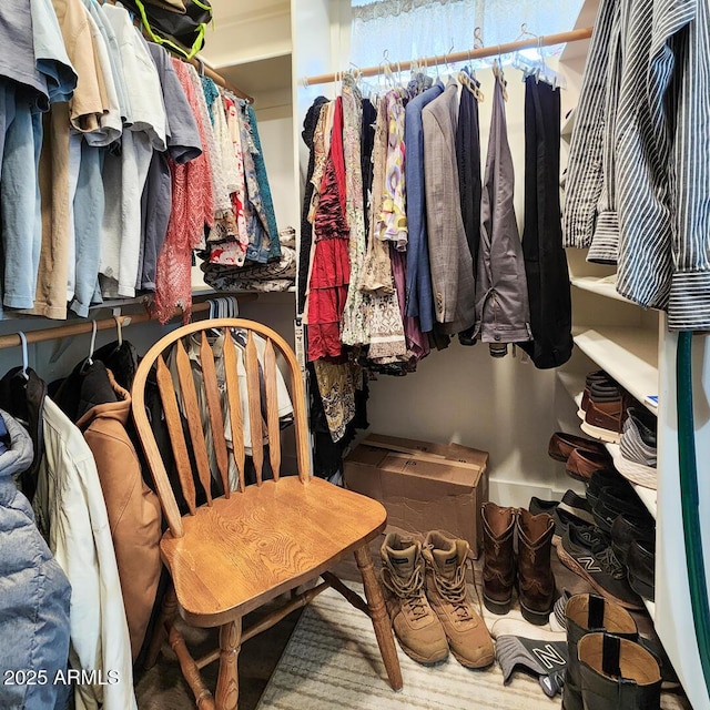 view of walk in closet