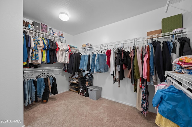 walk in closet featuring carpet floors