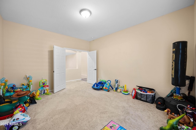 playroom with light carpet