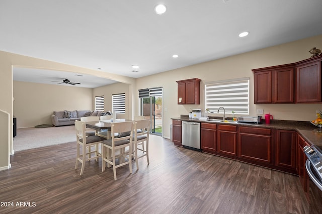 kitchen featuring ceiling fan, stainless steel appliances, dark hardwood / wood-style floors, and sink