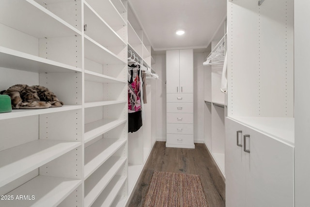 8719 E San Marino Dr, Scottsdale, AZ 85258 - spacious closet with dark wood-style floors