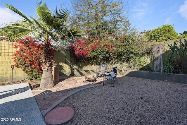 view of yard featuring a patio and a fenced backyard