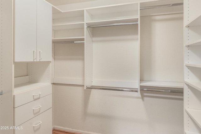 view of walk in closet