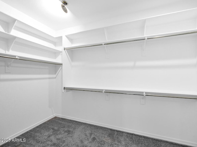 17815 W Denton Ave, Litchfield Park, AZ 85340 - walk in closet featuring dark colored carpet