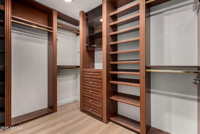 1535 E Kenwood St, Mesa, AZ 85203 - walk in closet with light wood-type flooring