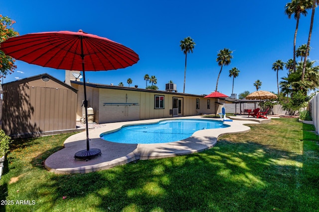1535 E Kenwood St, Mesa, AZ 85203 - view of swimming pool featuring a shed, a patio, and an outdoor structure