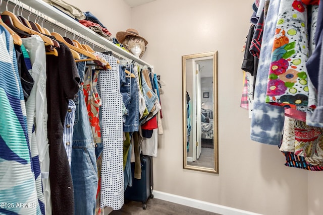 view of walk in closet