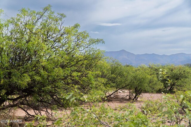 40716009A W Prince Rd -, Unit Mcneal, AZ 85617