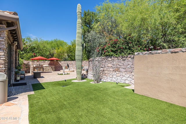 view of yard with a patio