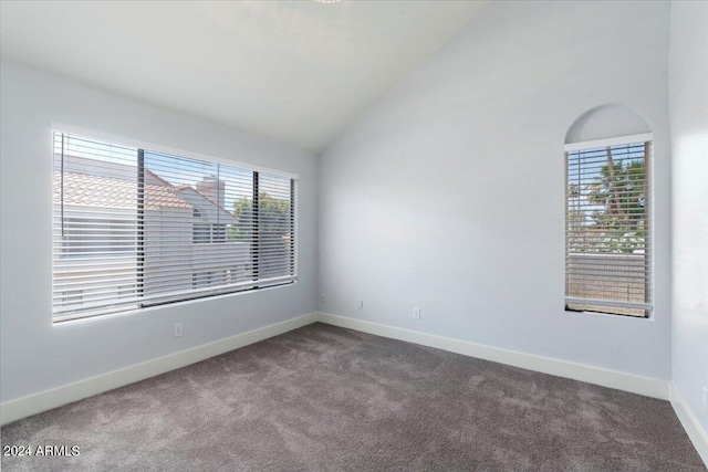 carpeted empty room featuring vaulted ceiling and a healthy amount of sunlight