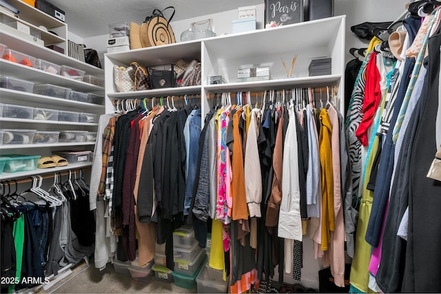 view of spacious closet