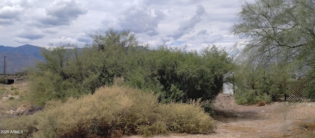 000 S Branding Iron Rd Unit 38, Swift Trail Junction, AZ 85546