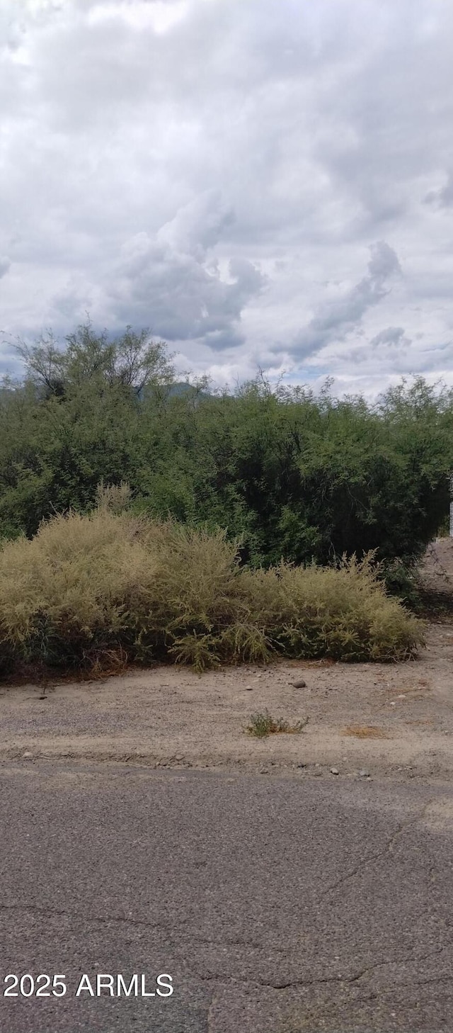 000 S Branding Iron Rd Unit 38, Swift Trail Junction, AZ 85546