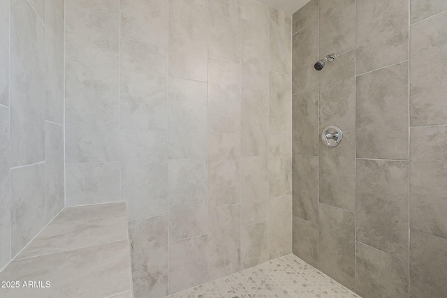 4627 E Mcneil St, Phoenix, AZ 85044 - full bathroom with a tile shower