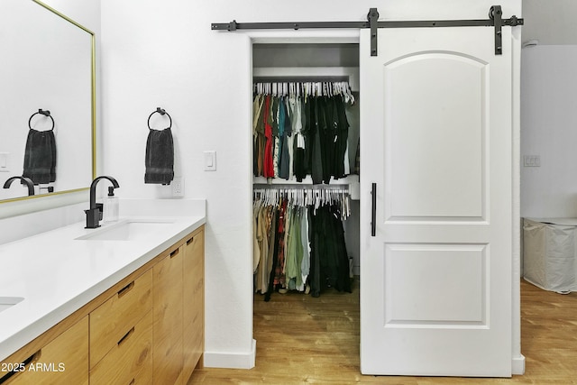 bathroom with double vanity, a walk in closet, wood finished floors, and a sink
