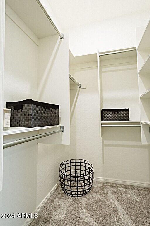 spacious closet featuring carpet