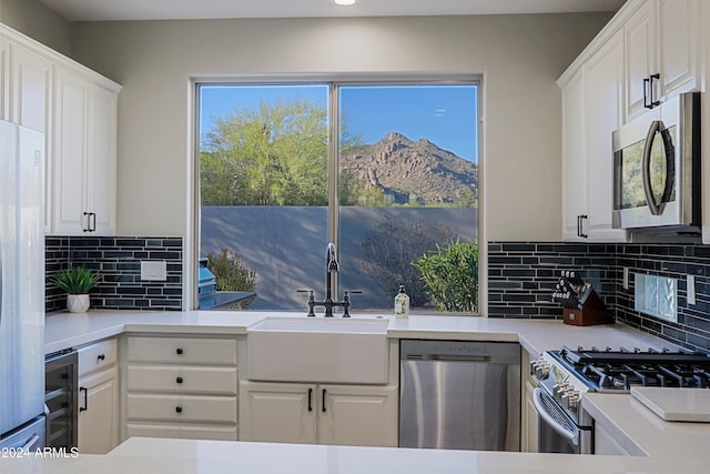 kitchen featuring white cabinetry, a mountain view, a healthy amount of sunlight, and stainless steel appliances