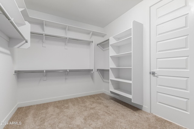 walk in closet with light carpet