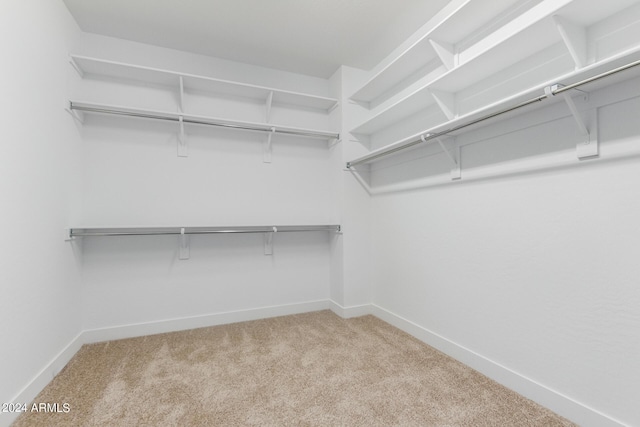 walk in closet with light carpet