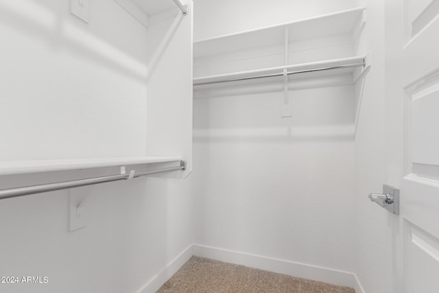 walk in closet featuring carpet flooring